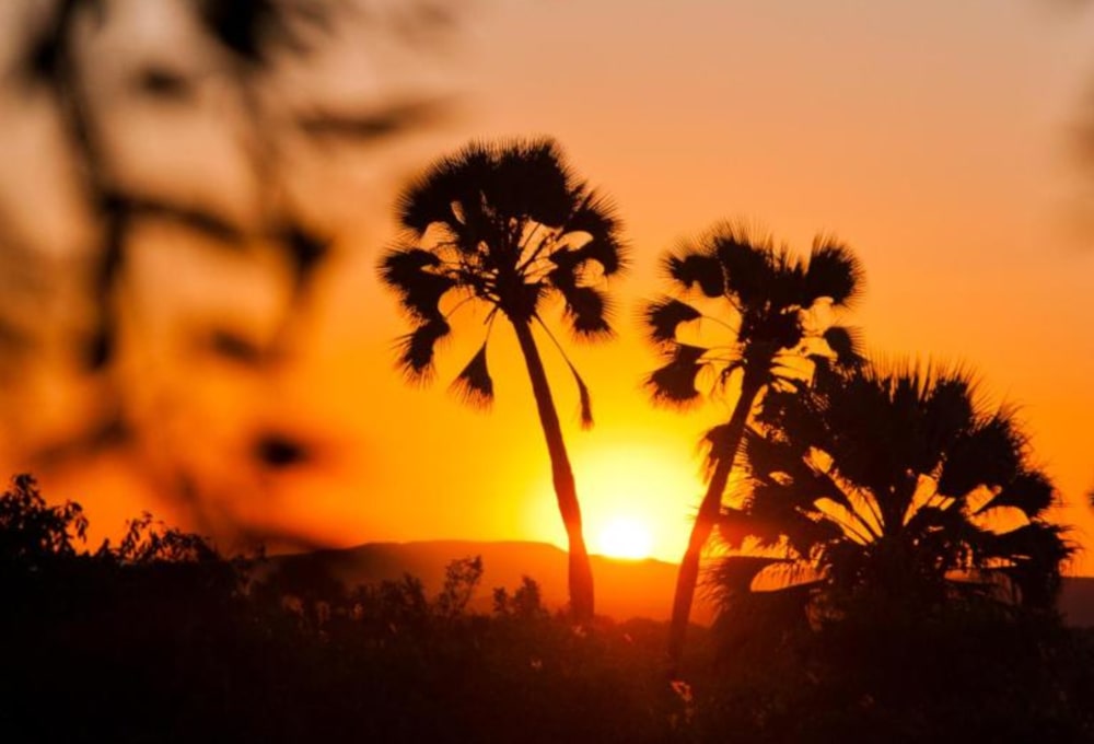 Palmwag Lodge Gondwana Collection Namibia